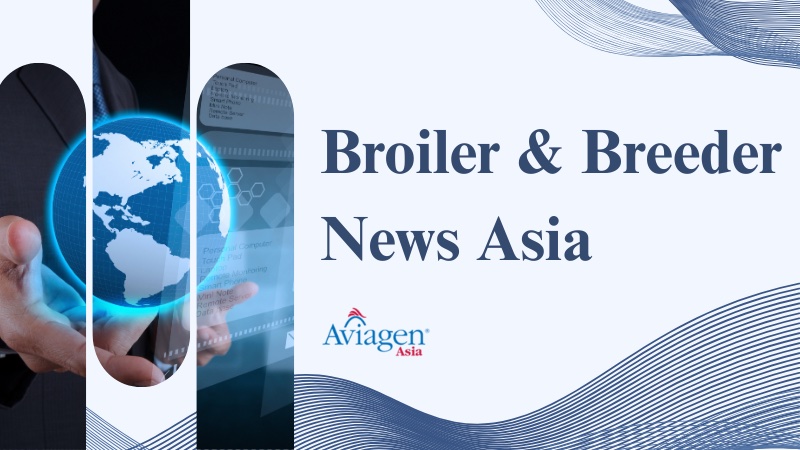 Broiler & Breeder News Asia, 21 - 27 Jan 2026